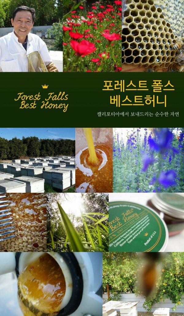 Eucalyptus Honey - Image 3